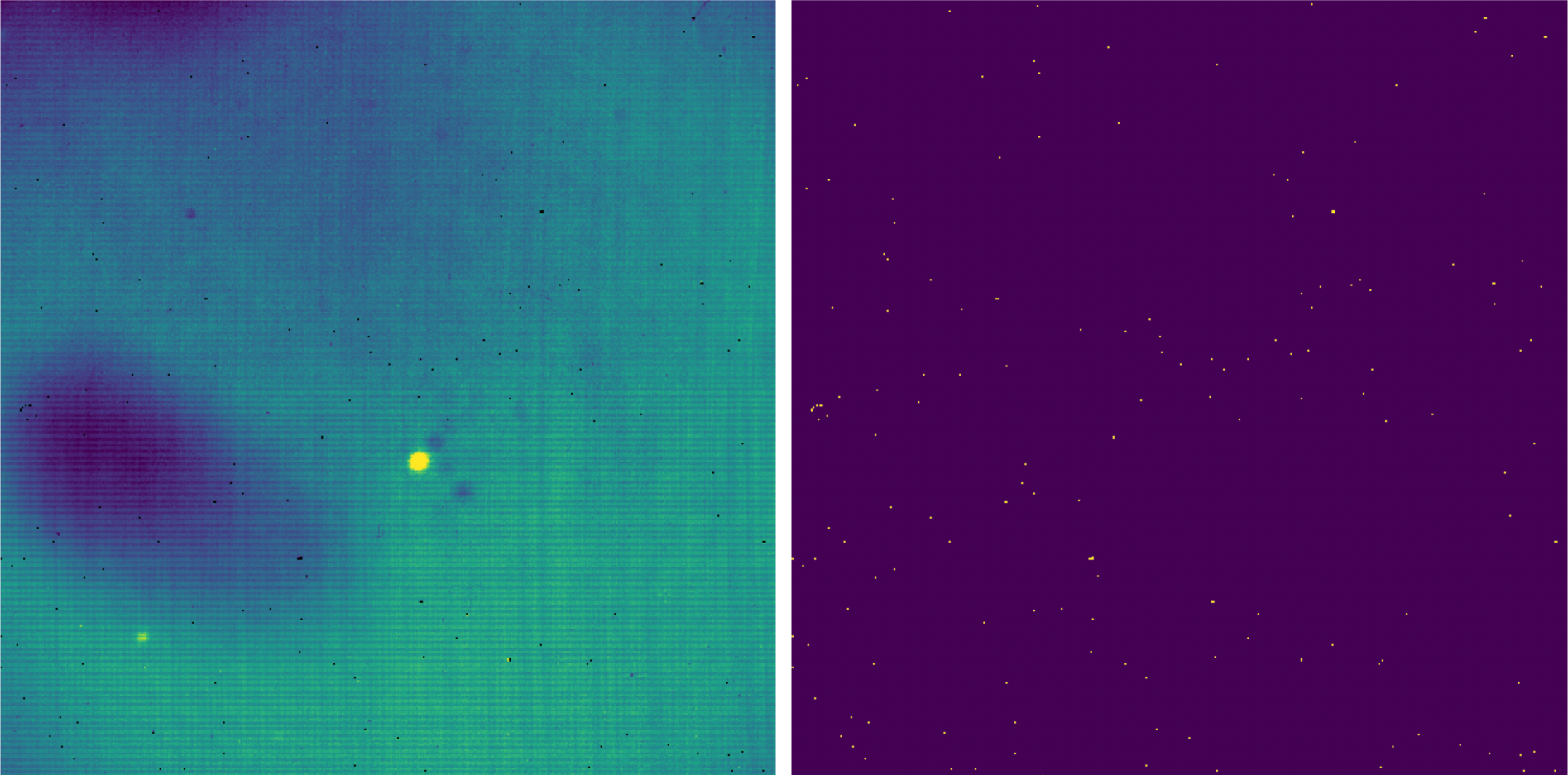 Left: a raw image clipped to the rectangular FOV. Right: a bad pixel mask identifying scattered bad pixels.